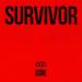 The Score - Survivor