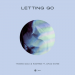 Thomas Gold & R3SPAWN feat. David Shane - Letting Go