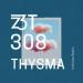 Thysma - Intimate Realm