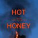 Tiesto feat. Alana Springsteen - Hot Honey
