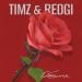 TIMZ & Redgi - Обещания
