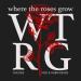 Tiscore, VIZE & NOON - Where The Roses Grow (VIZE & NOON Remix)