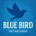 TNT Records - Blue Bird