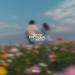 Toby Rose & One Trick Pony - Emotional