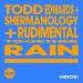 Todd Edwards feat. Shermanology & Rudimental - Rain