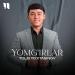 Tolib To'xtasinov - Yomg'irlar