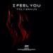 Toly Braun - I Feel You