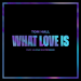 Tom Hall feat. Salena Mastroianni - What Love Is