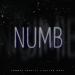 Tommee Profitt feat. Skylar Grey - Numb