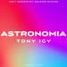 Tony Igy - Astronomia (Extended Mix)