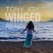 Tony Igy - Winged (рингтон)