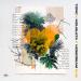 Topic, Mougleta, Vegedream - Albi