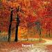 Touraj S - Golden Autumn