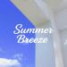 toyou․ - Summer Breeze