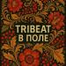 Tribeat - В поле