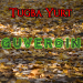 Tuğba Yurt - Vazgeç Gönül