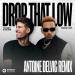 Tujamo & Kid Ink - Drop That Low (When I Dip) [Antoine Delvig Remix]