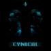 TwoColors feat. Safri Duo & Chris De Sarandy - Cynical