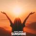 Umut Torun - Sunshine (Extended Mix)