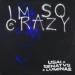 USAI, SENATVS & Luminae - I'm So Crazy