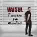 Vaisul - Тенью за тобой