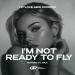 VetLOVE & Mike Drozdov - I'm Not Ready To Fly (Extended Mix)