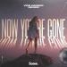 Vion Konger feat. Nexeri - Now You Are Gone