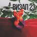 ВИЗАП 23 - Пятка
