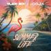 Vlady Boy & DJ Goja - Summer Life