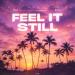 VLX & Eliine - Feel It Still