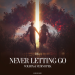 VOLB3X & Vesim Ipek - Never Letting Go