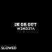 W3ND3TA - In Or Out (Slowed)