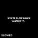 W3ND3TA - Never Slow Down (Slowed)