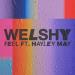 Welshy feat. Hayley May - Feel