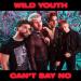 Wild Youth - Cant Say No