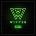 WINNER - SENTIMENTAL