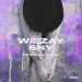 Wizzay feat. Kelly Boek - Shy 