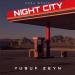 Yusuf Zeyn - Night city