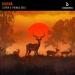 Zafrir & Thomas Gold - Kaisha