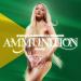 Zara Larsson - Ammunition (Dennis Remix)