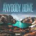 Zens, Btrn & Dom Fricot - Anybody Home