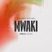 Zerb feat. Sofiya Nzau - Mwaki (Tiesto's VIP Mix)