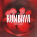 Zerb, Sofiya Nzau, Izzy Bizu, Massane - Kumbaya (Massane Remix)
