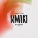 ZERB, Sofiya Nzau & Tiesto - Mwaki (Tiesto's Vip Mix)