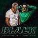 Zvika Brand feat. INtellegent & Gelik - Black