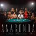 Zvika Brand feat. INtellegent & NAWAN - Anaconda