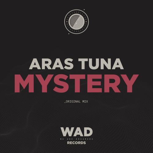 Aras Tuna - Mystery