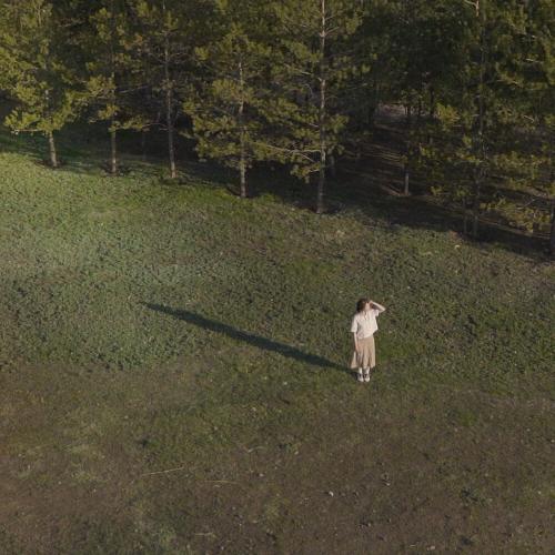 layout