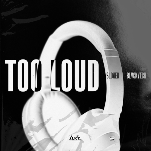BLVCKVICH - TOO LOUD (Slowed)