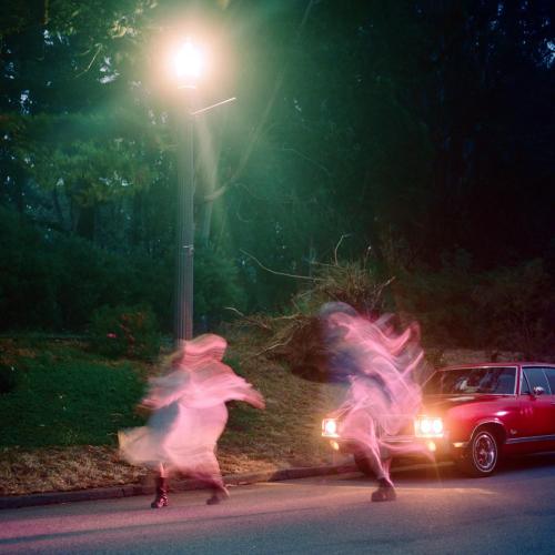 chokecherry - Goldmine